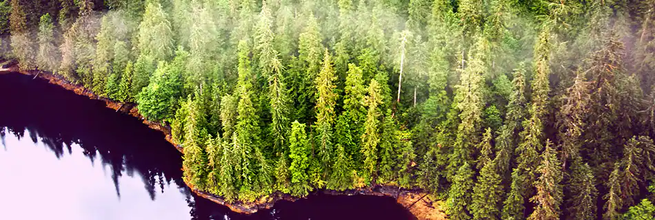 Ketchikan, Alaska