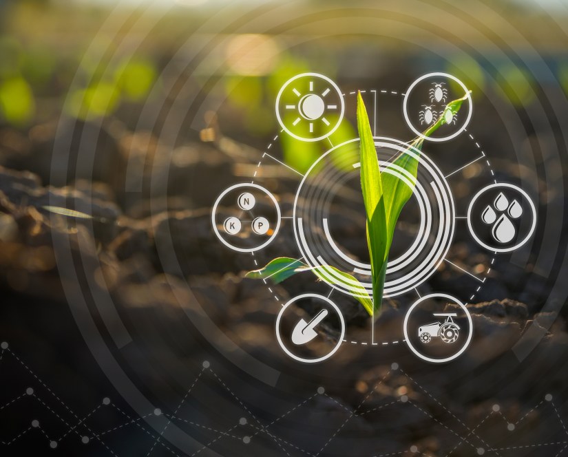 Decentralized Agriculture