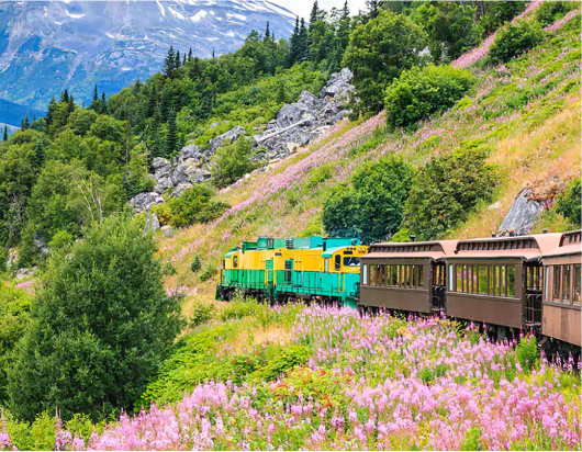 White Pass Scenic Railway