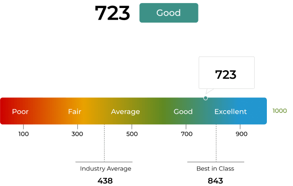 Individual Reputation Score